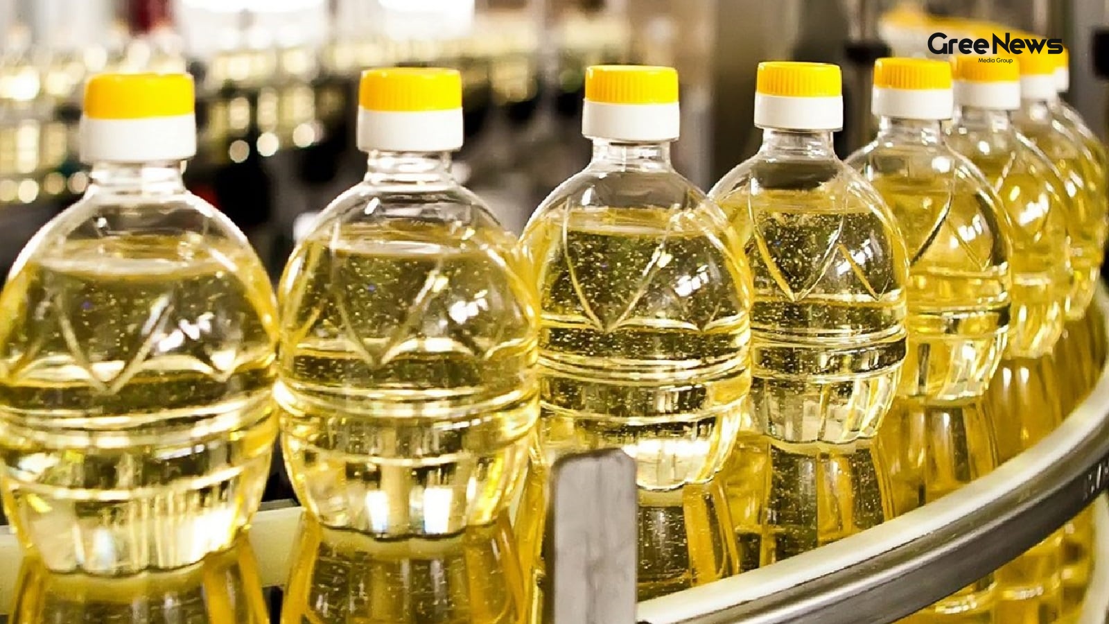 India's Vegetable Oil Imports and Global Market Dynamics