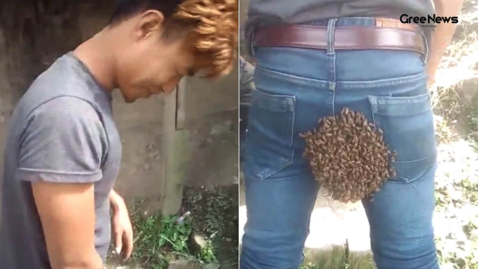 The Viral Story of the Honeybee Swarm and Extreme Stillness