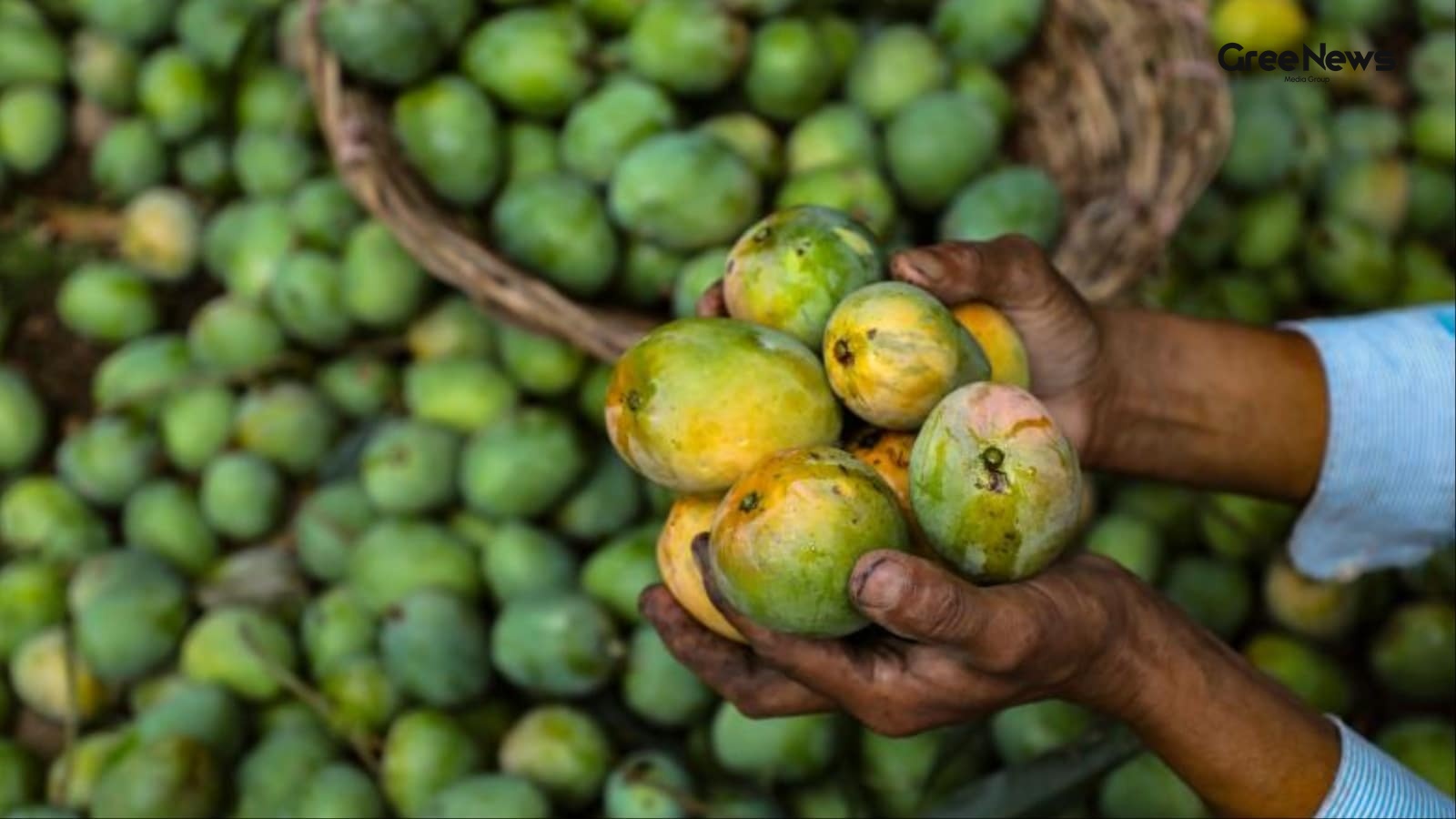 Impact of Trade Restrictions on Fruit Supply and Market Anxiety in Janakpurdham