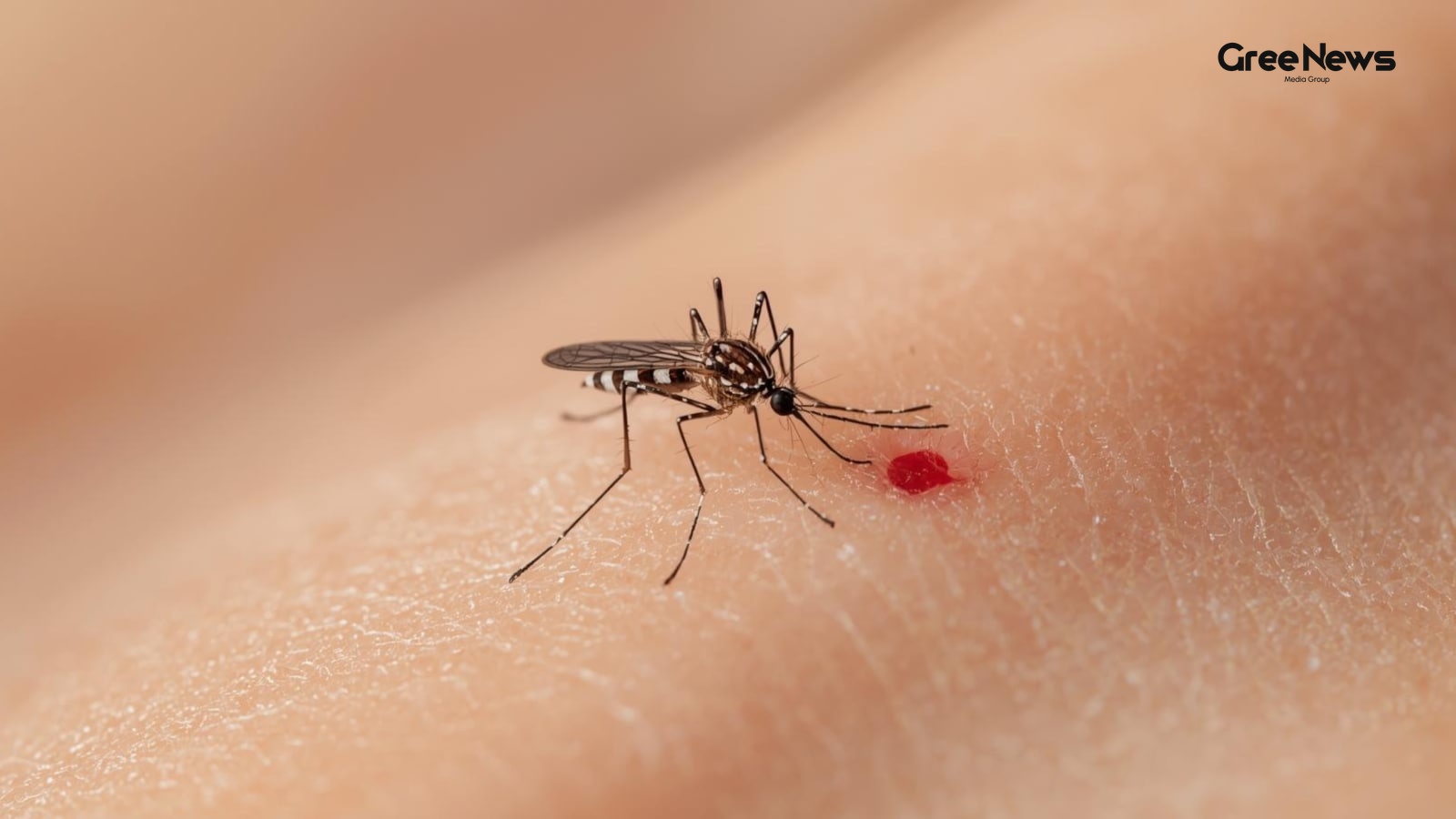 Biological Factors Influencing Insect Attraction