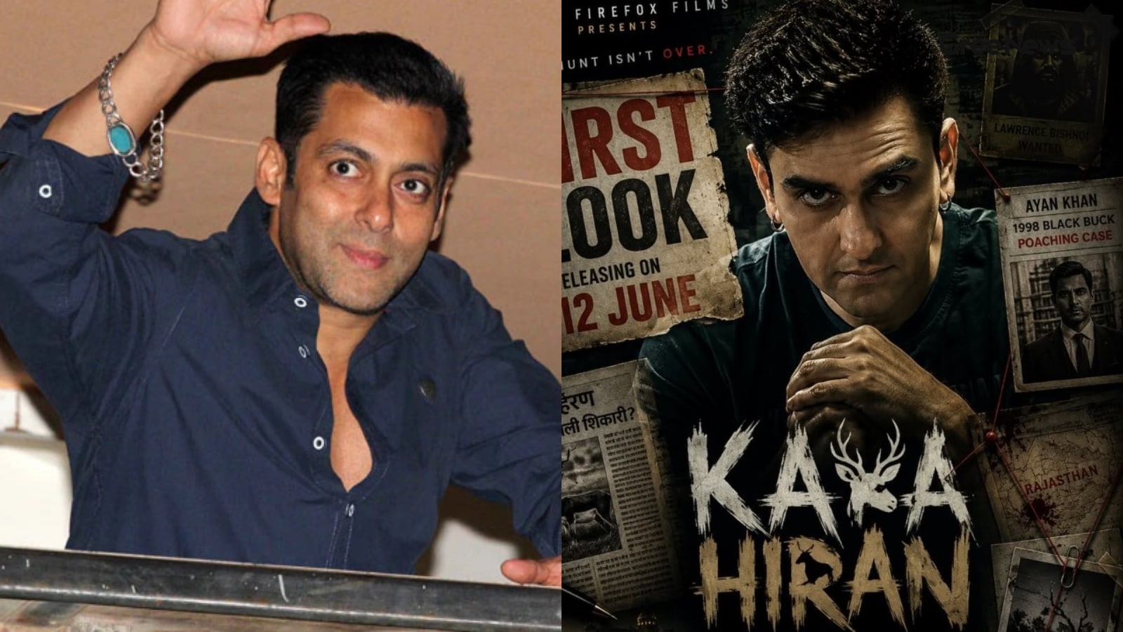 The Controversy Surrounding Kala Hiran and Salman Khan