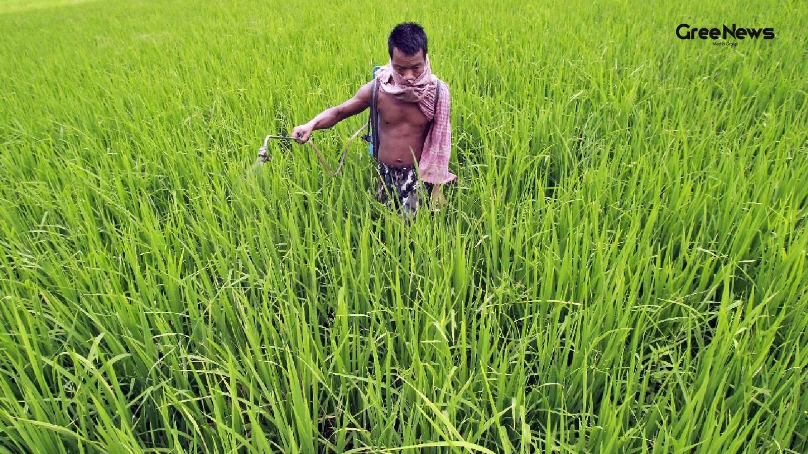 Strait of Hormuz Easing Impacts India's Fertilizer Supply and Geopolitics