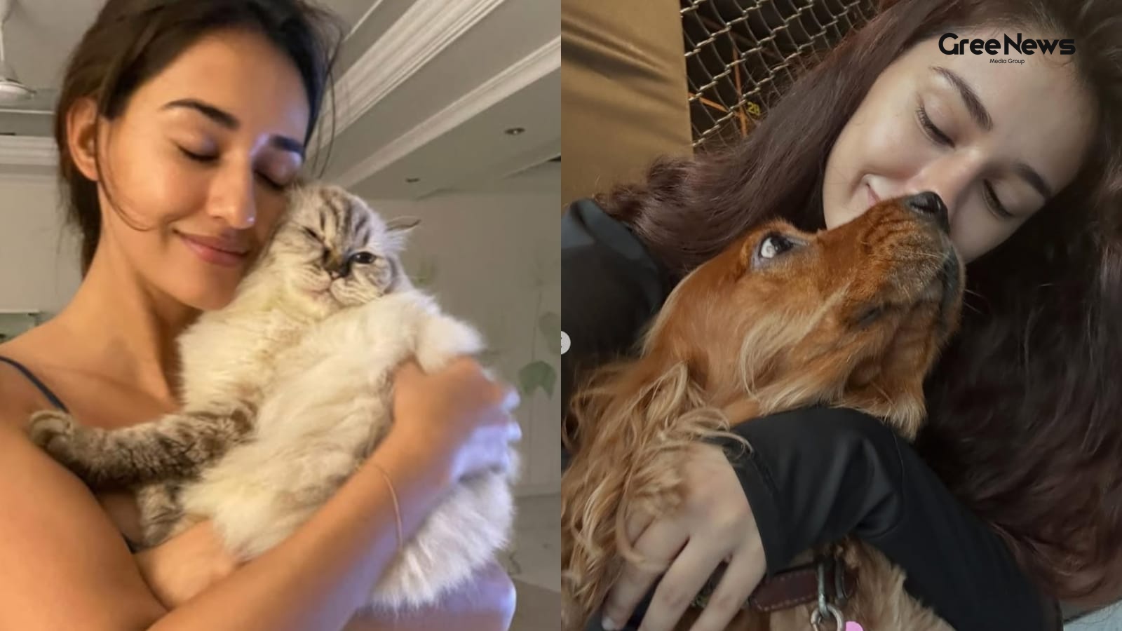 Disha Patani Shares Heartbreaking News About Losing Two Pets