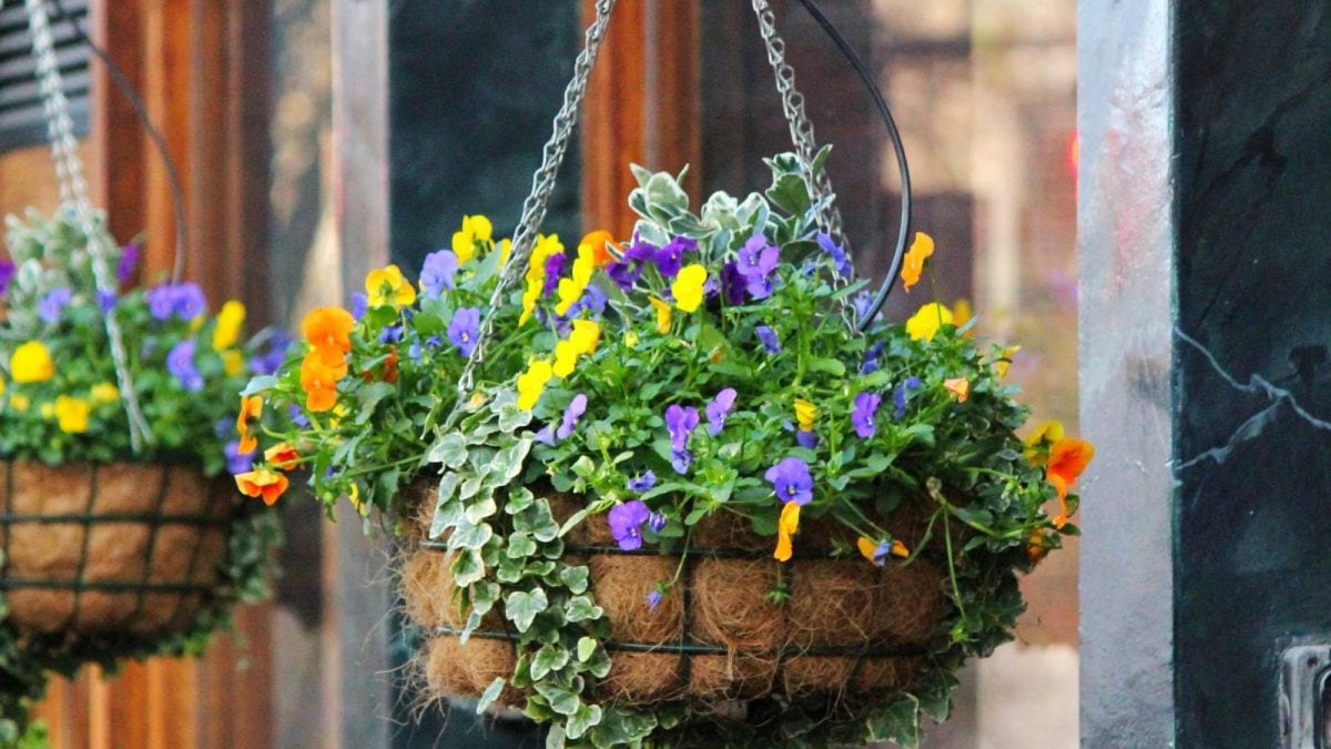 How I Turned My Small Balcony Into a Colorful Oasis with DIY Hanging Baskets – A Friendly Guide