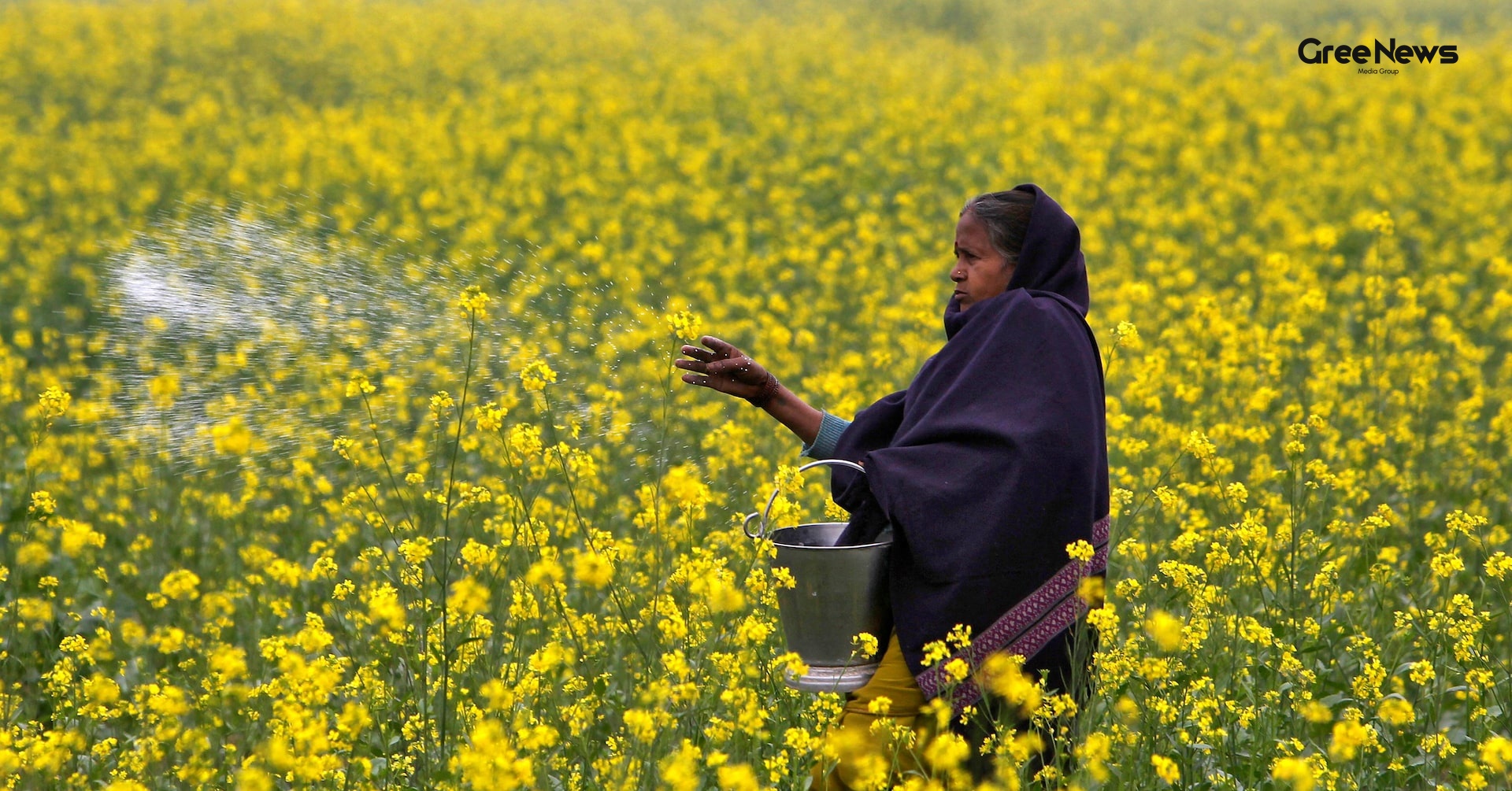 India’s Record Urea Import: 2.5 Million Tonnes at Nearly Double the Earlier Price  What’s Behind the Surge?