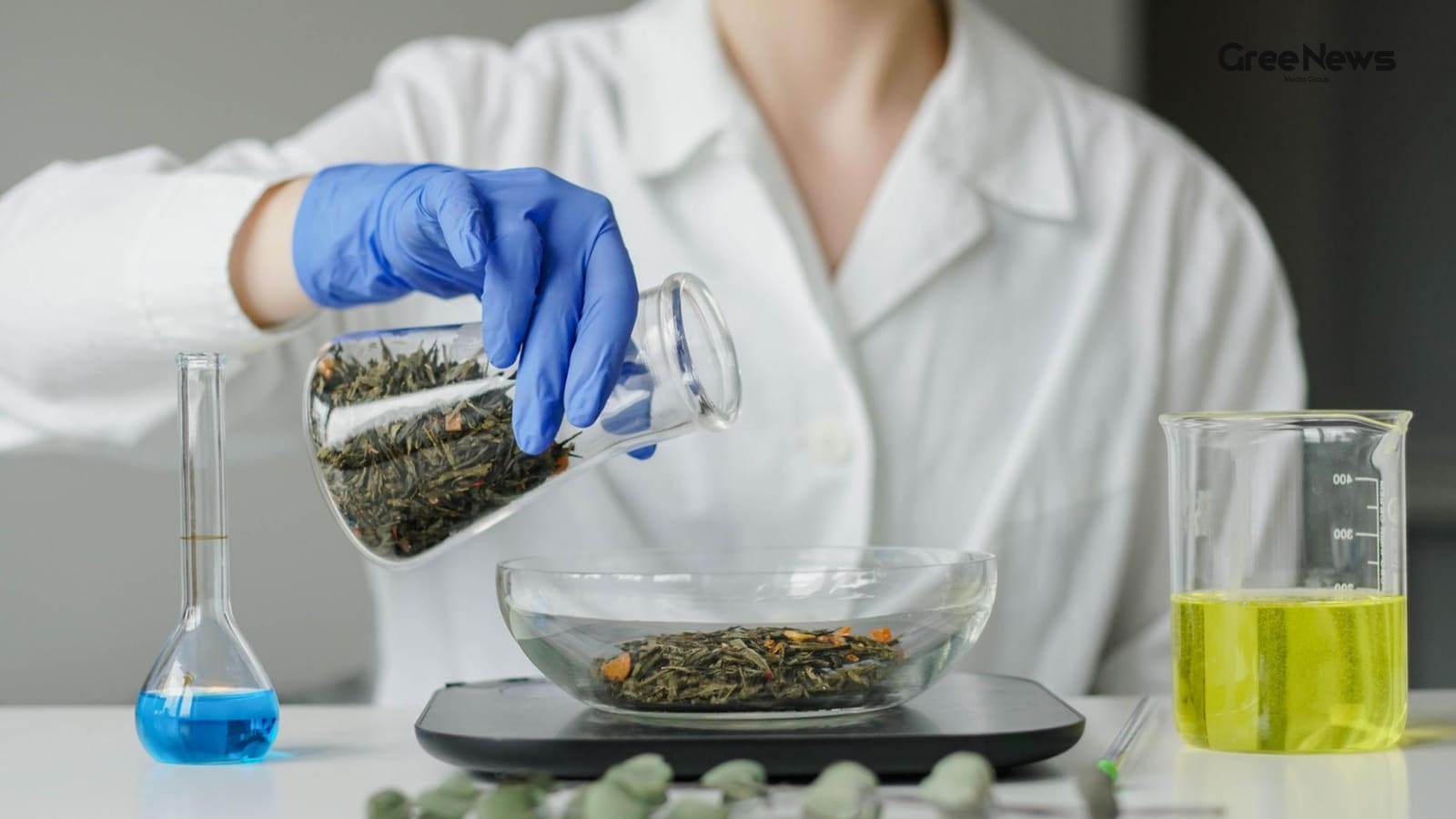 How Indian Beauty Brands Are Redefining Transparency This Earth Day  A Personal Look