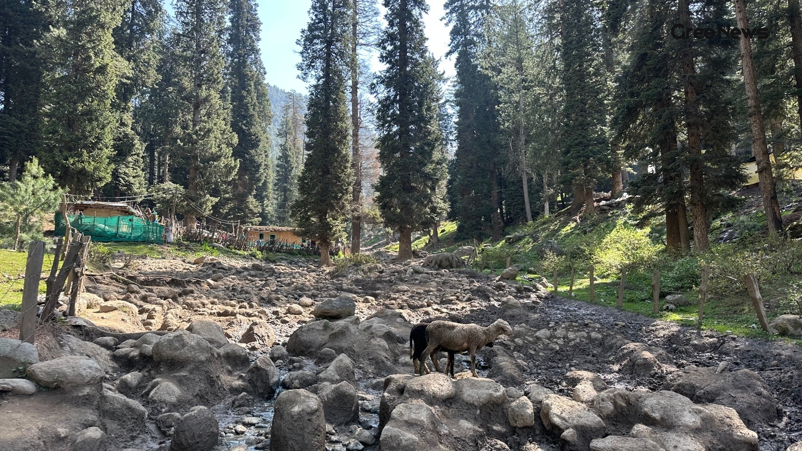 Inside the 48‑Hour Kashmir Ride: From Ramban Cloudburst to Pahalgam Terror Attack