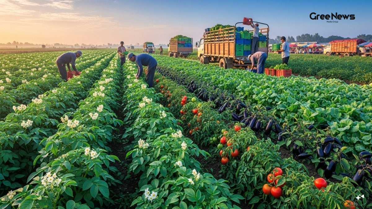 Madhya Pradesh: The Unsung Vegetable Basket of India  How This State Feeds the Nation
