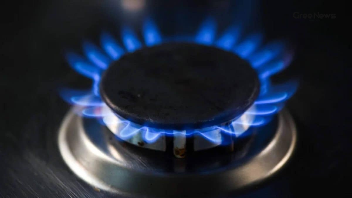 Ethanol burner used for cooking