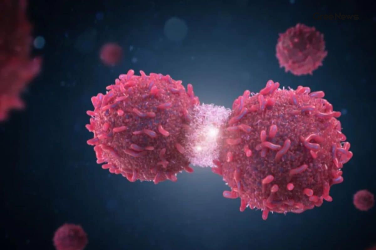 How Madame Curie’s Decision to Skip Patents on Radium Turned Into a Lifeline for Cancer Patients Across India