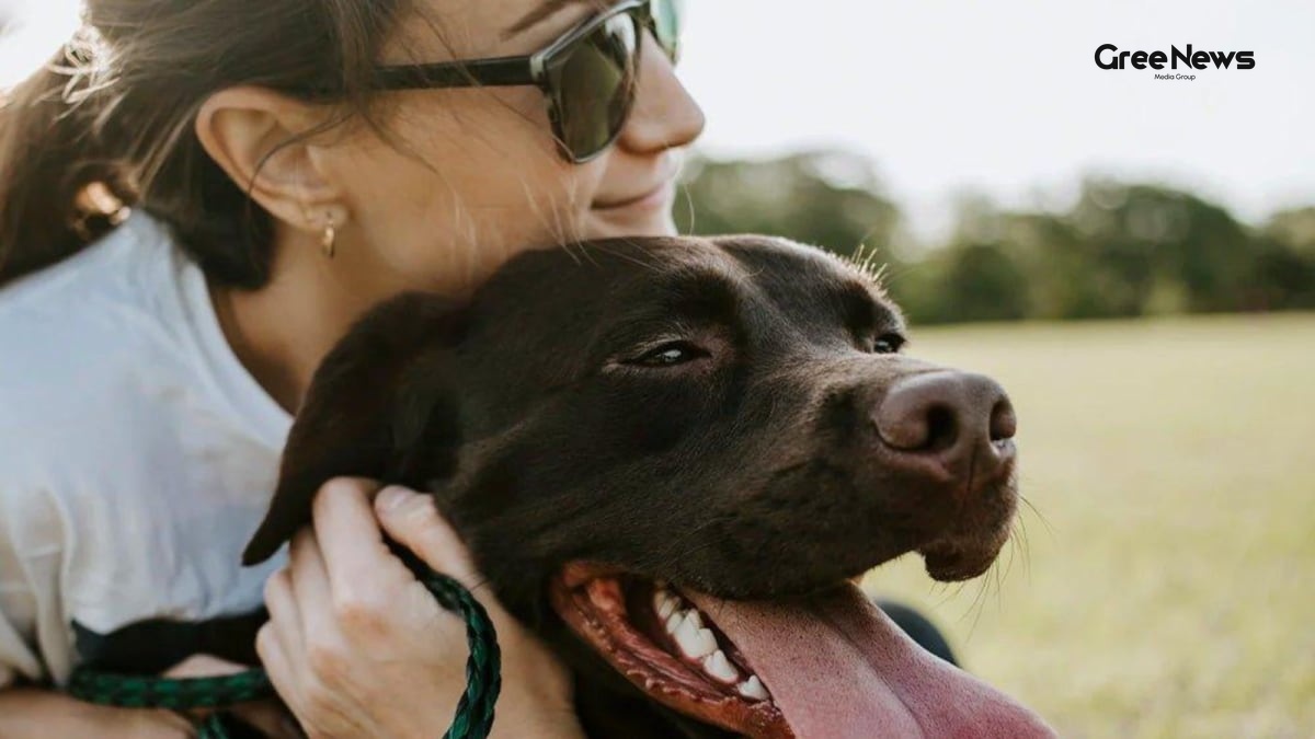 Summer Heatstroke Alert: Vital Signs Every Indian Pet Owner Must Spot