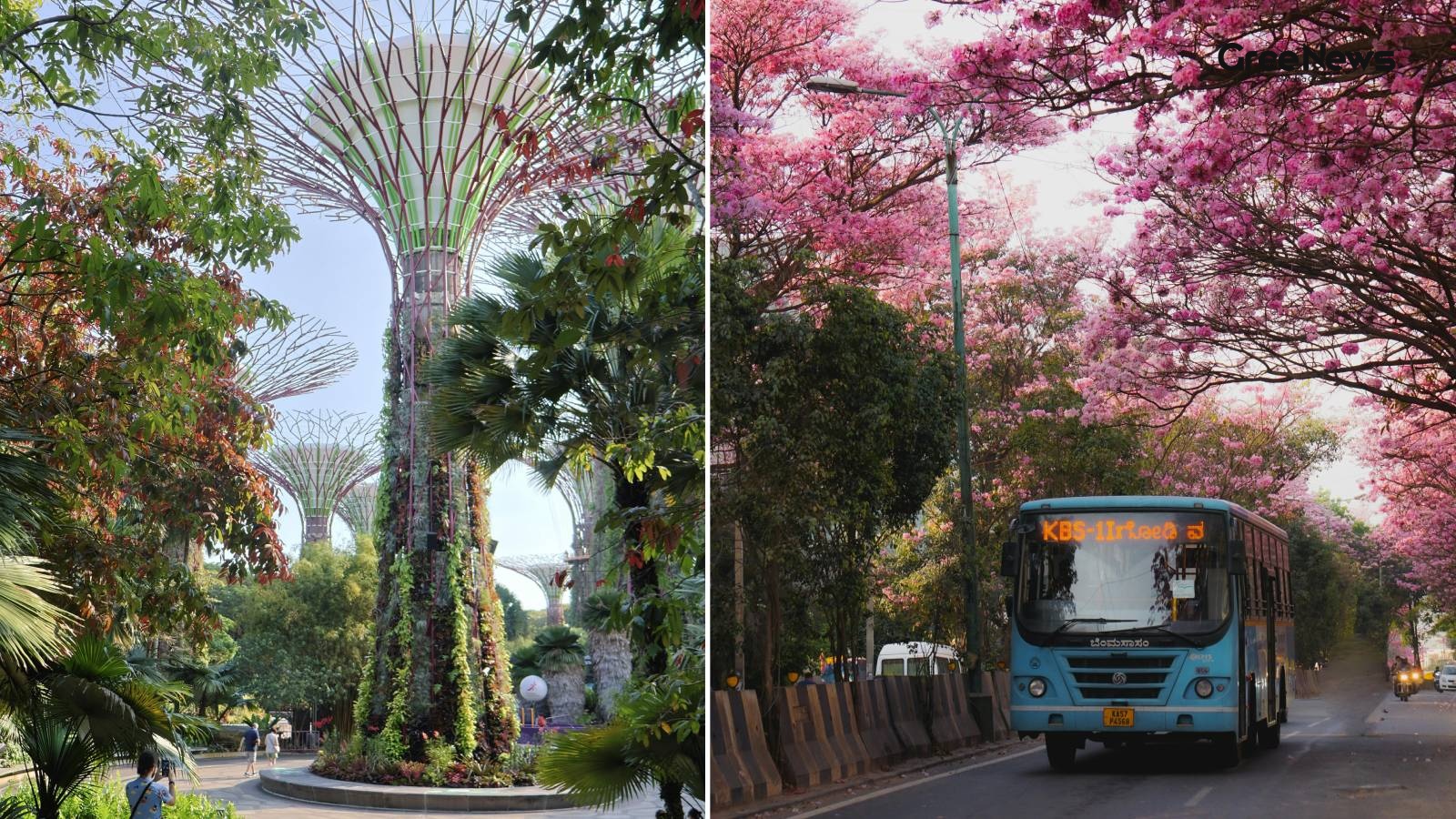 India’s Top 10 Green Cities Transforming Urban Life  A Look Ahead