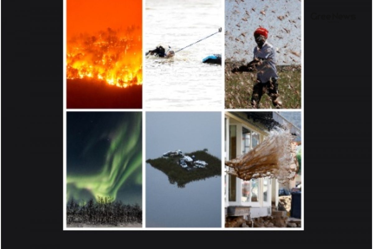 2021’s Jaw‑Dropping Environment Photos: Reuters’ Year‑Ender Snapshots That Went Viral in India