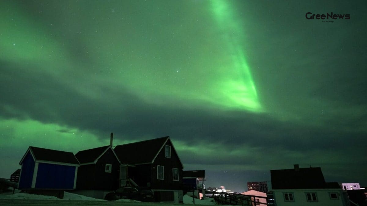 Bomb Threat Sends Nuuk Airport Into Chaos  One Arrested in Rare Arctic Scare
