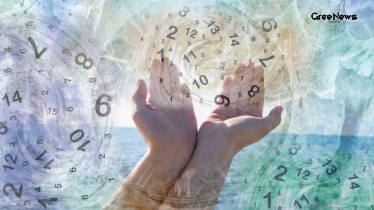 Numerology horoscope dashboard showing birth number insights