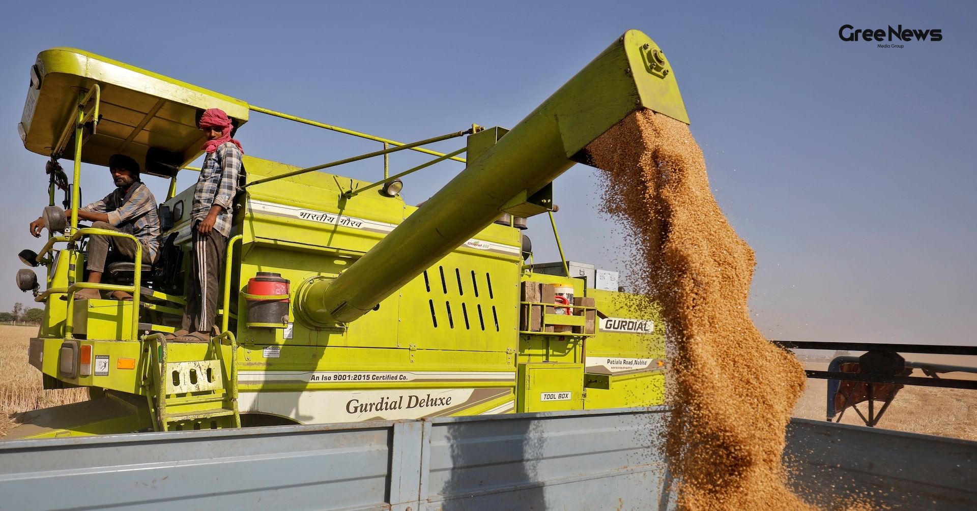 Wheat Harvest Woes: How Unexpected Rain and Hail Threaten India's Crop Output