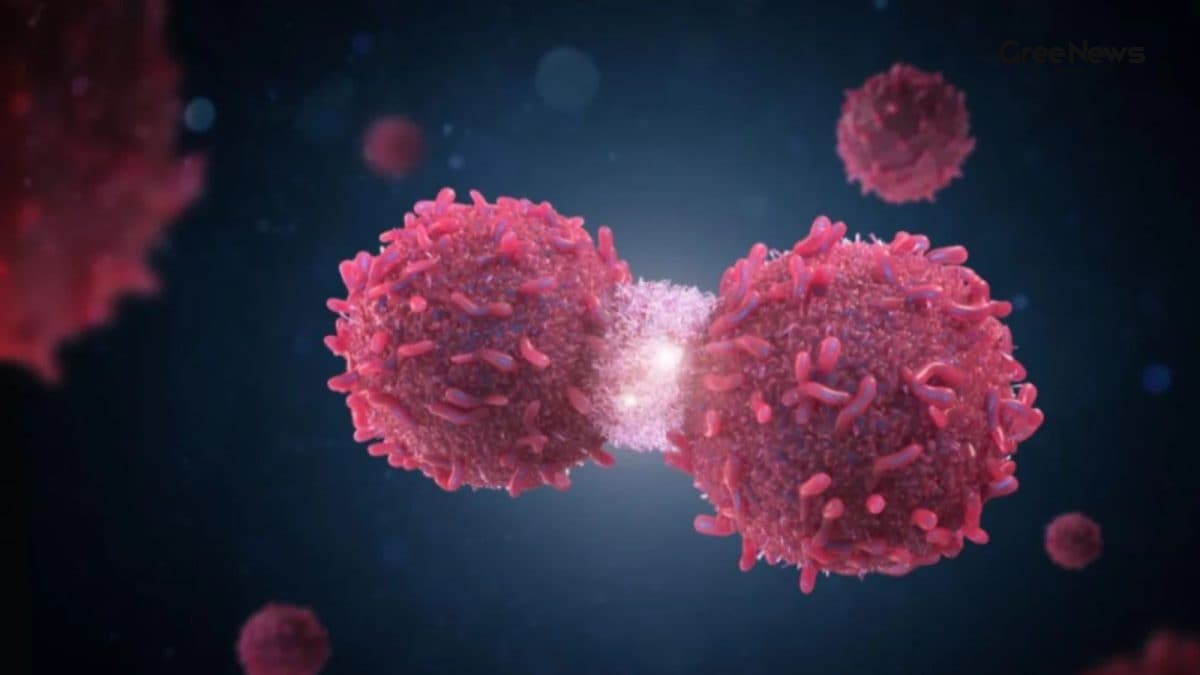 What Is ‘Saree Cancer’? The Rare Skin Risk Many Women Don’t Know About