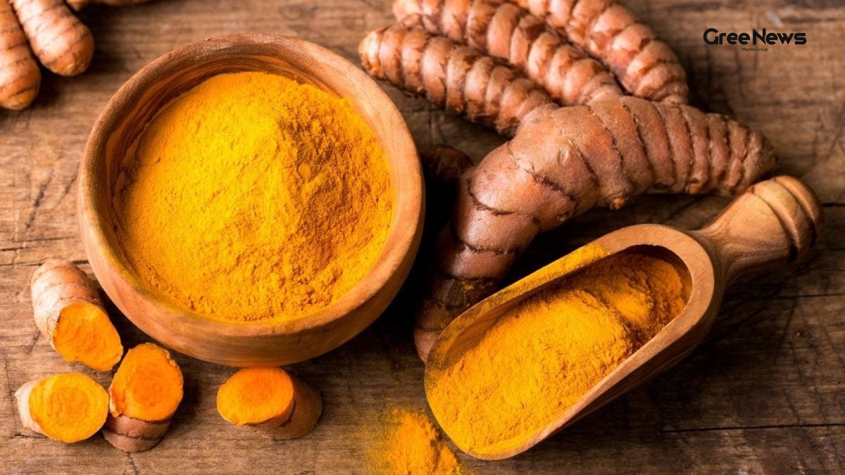 Discover Why Erode is Called India’s Turmeric City  All You Need to Know